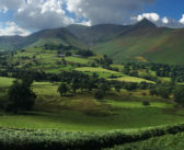 Avoid an IoT false start: Critical 5G considerations